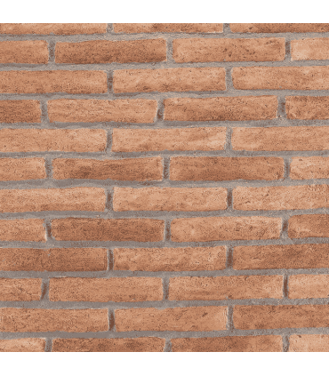 Archeo Muro 002
