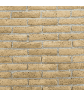 Archeo Muro 003