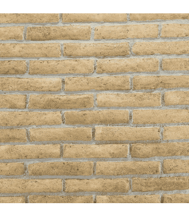 Archeo Muro 003