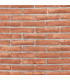 Archeo Muro 004