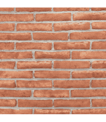 Archeo Muro 004