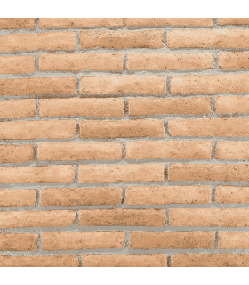 Archeo Soffitto 001
