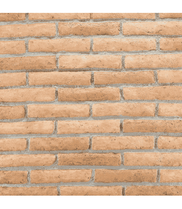 Archeo Soffitto 001