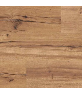 ROVERE UMBRO