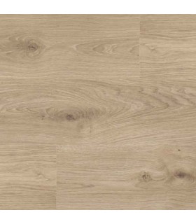ROVERE PONZA
