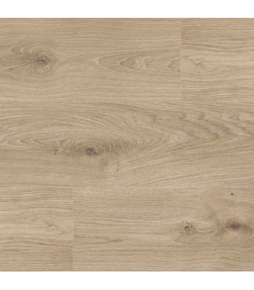 ROVERE PONZA