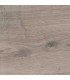 ROVERE GIAPPONESE