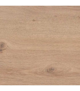 QUERCIA MONTANA