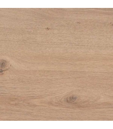 QUERCIA MONTANA