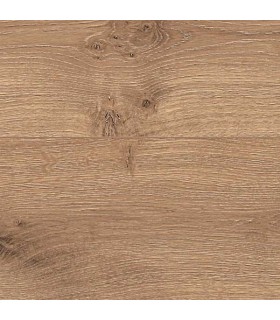 ROVERE LATINO