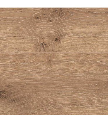 ROVERE LATINO