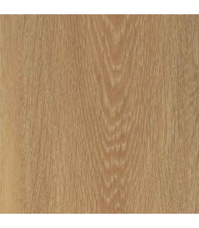 1233 Rovere Terranova Star.KR Skema  linea pavimenti resilienti ESPC Sintesy vinilico LVT vendita on line arredoedilizia.shop