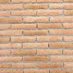 Archeo Muro
