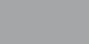 Grigio RAL 9006