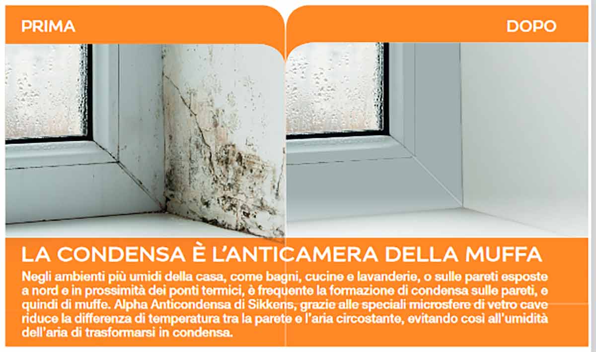 no alle muffe su pareti