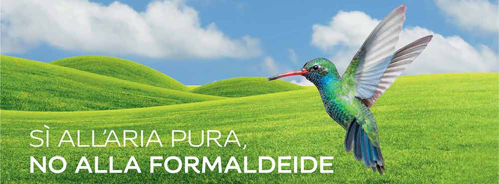 no alla formaldeide