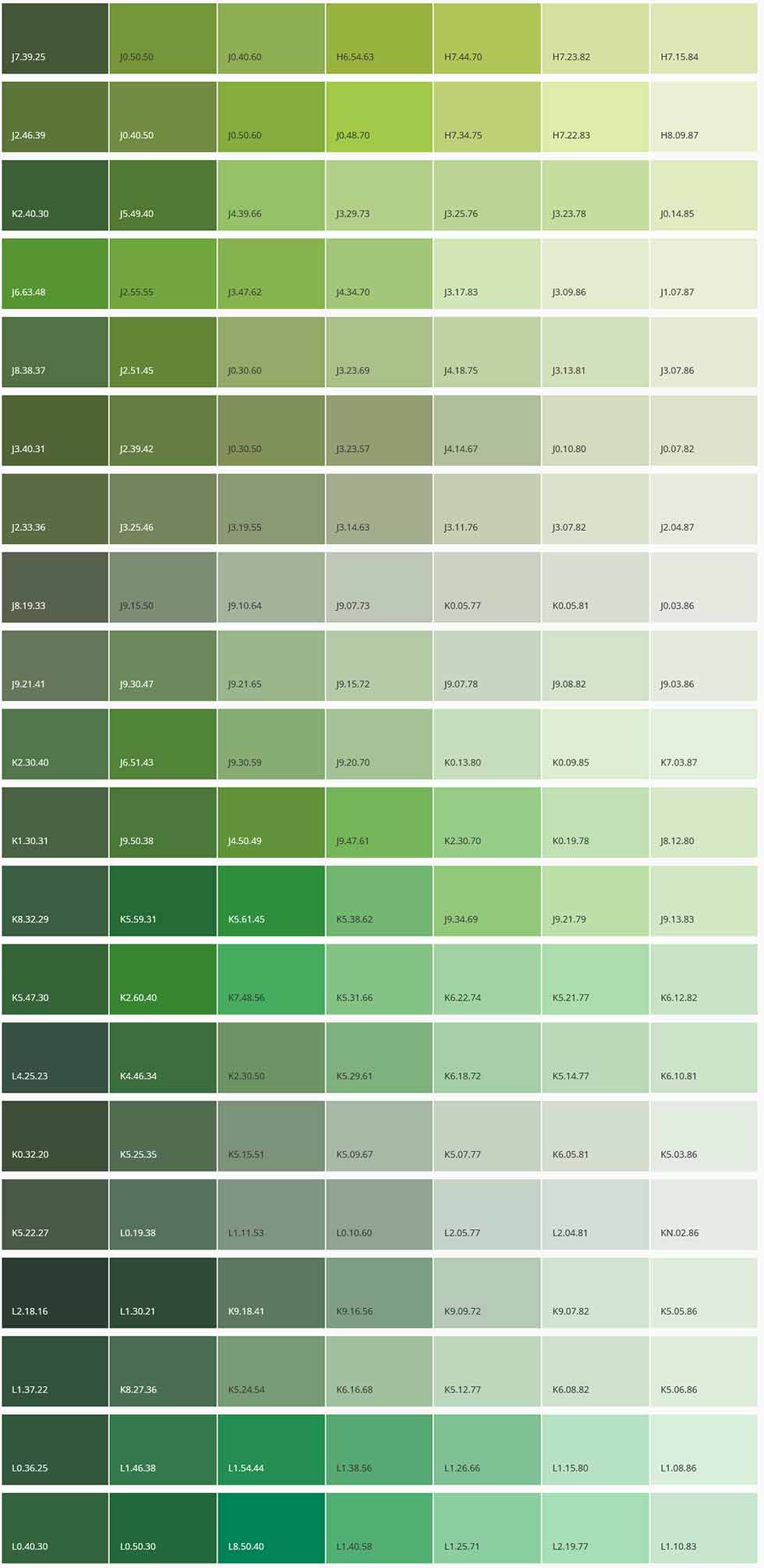 mazzetta colore tonalità verdi